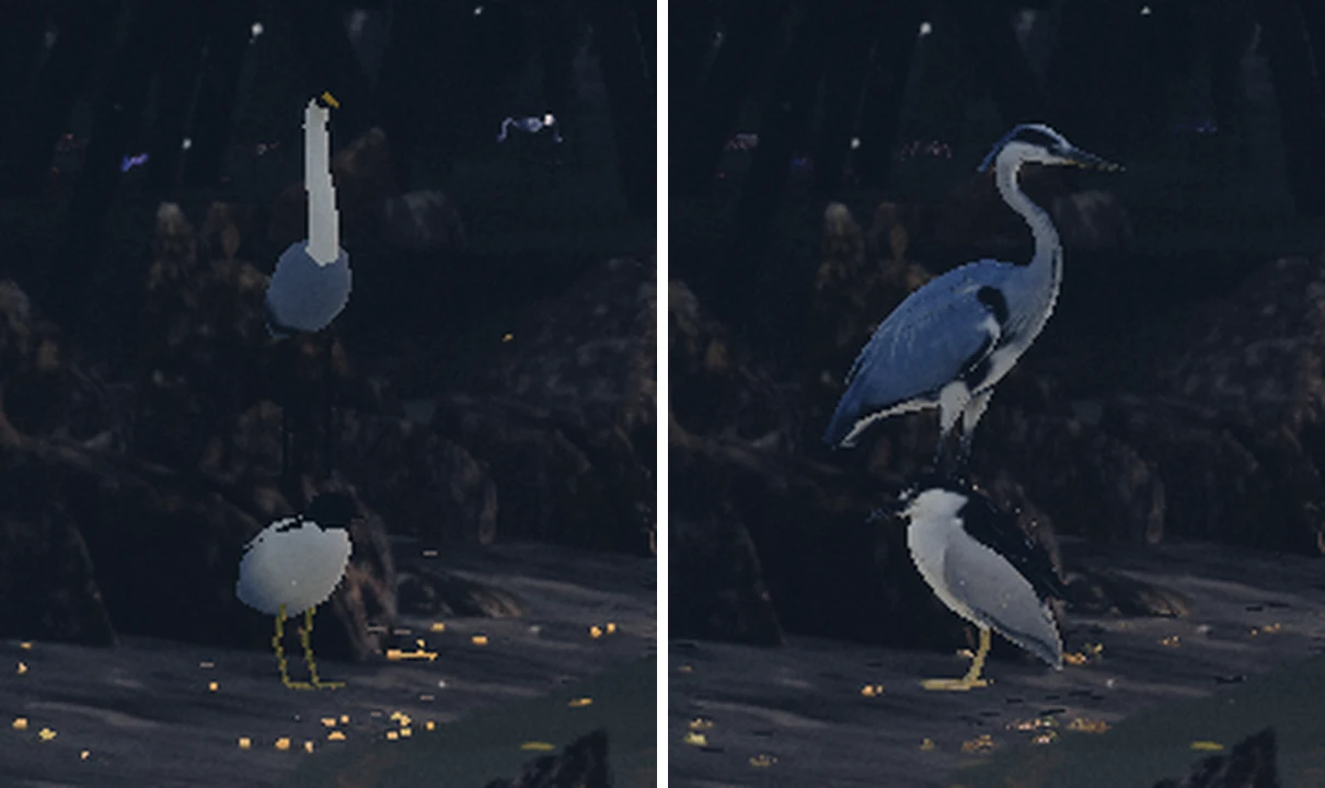 Before and after: the procedural herons and the new cocoi heron and night heron